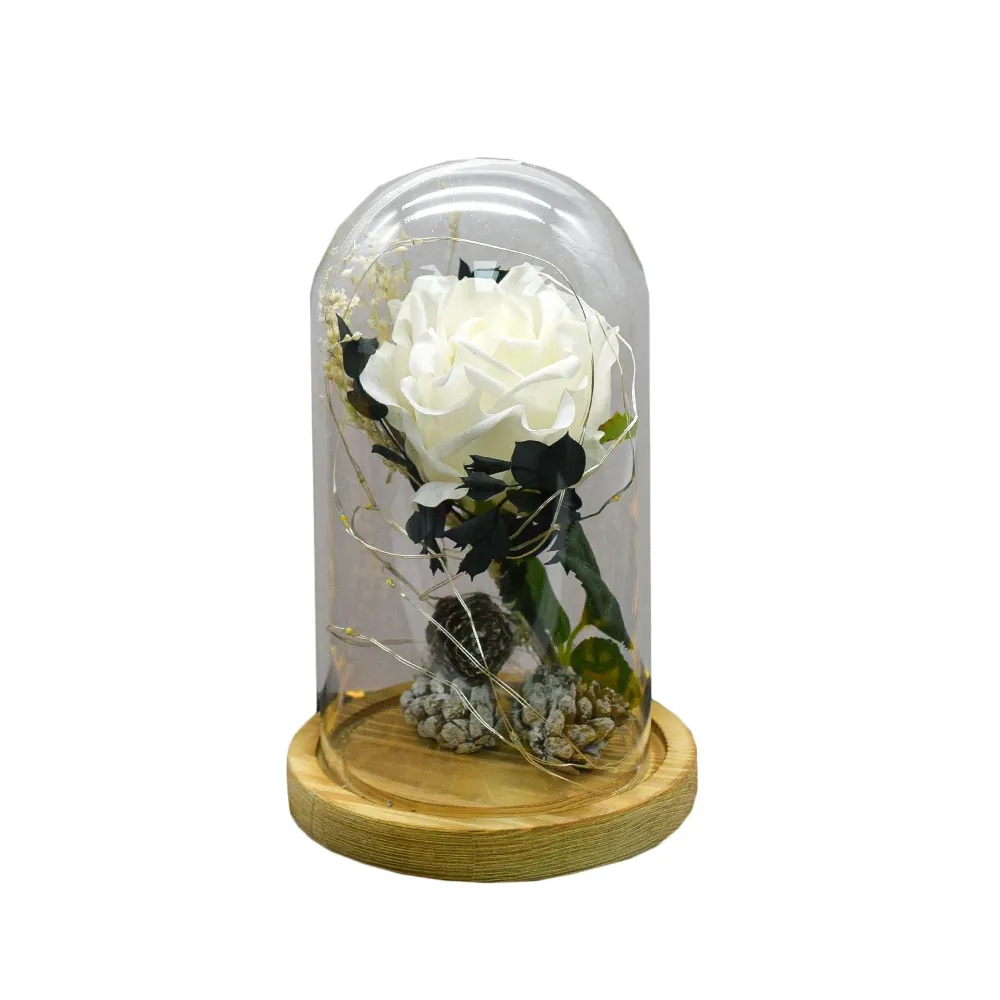 Aranjament floral cupola de sticla, lumina Led, D4010, Alb