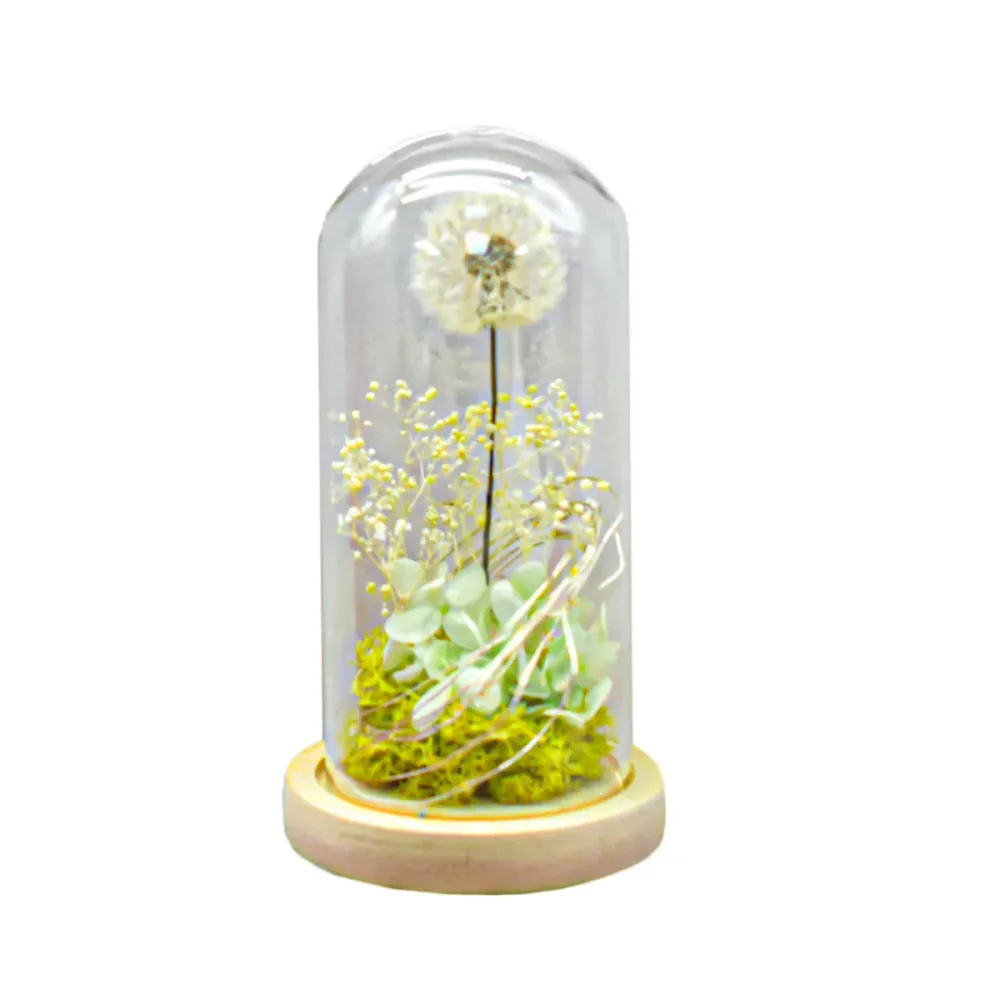 Aranjament floral cupola de sticla, lumina Led, D4025, Alb