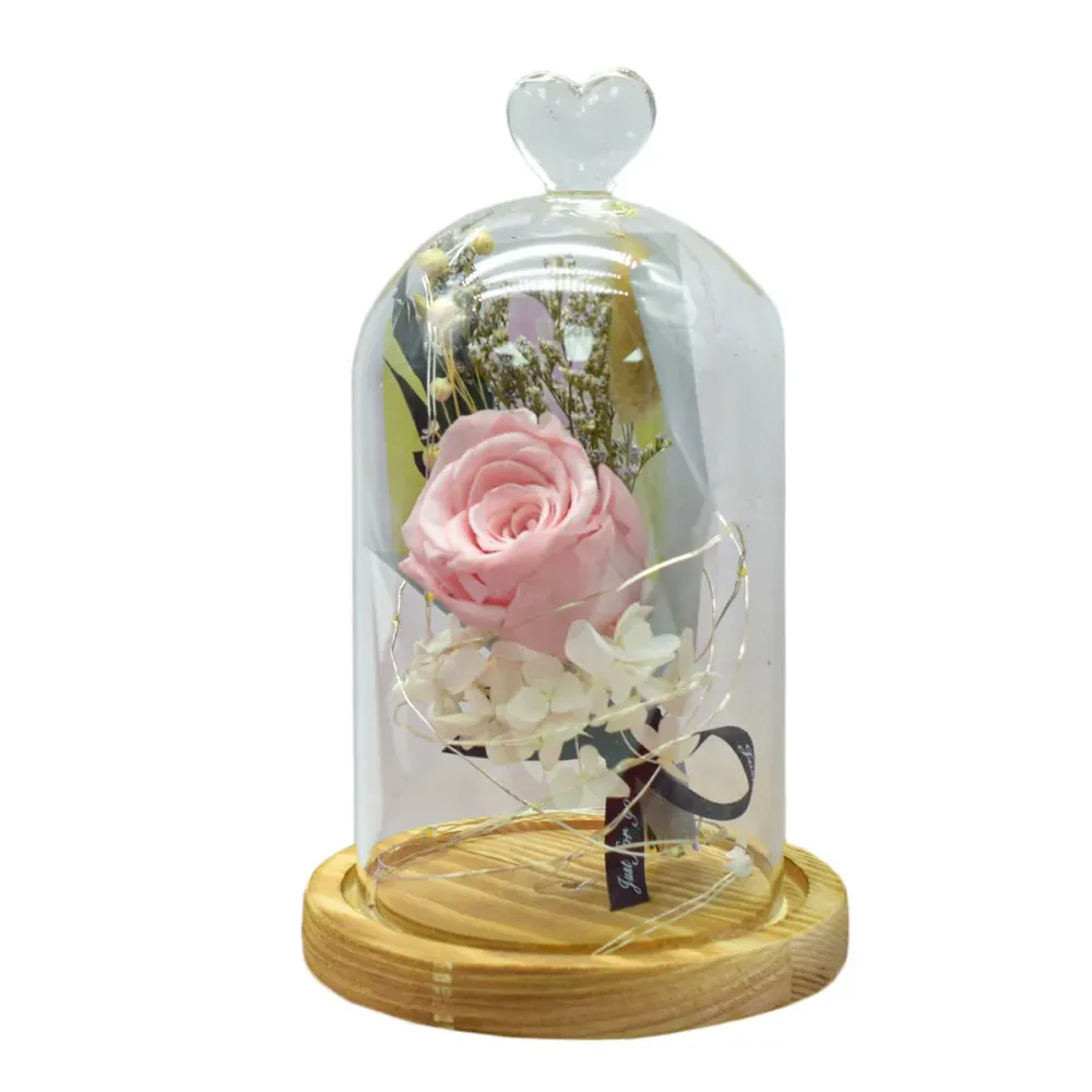 Aranjament floral cupola de sticla, lumina Led, D4051, Roz