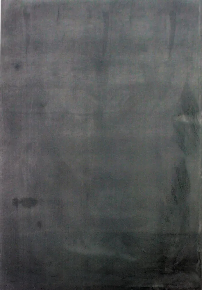 Covor »Balu« cu textura de blana de iepure 40x60 cm