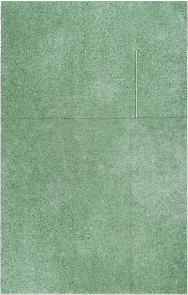 Covor pufos Cali verde din microfibra 40x60 cm