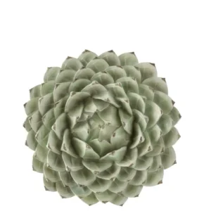 Decoratiune de perete forma de floare, 32 cm diametru