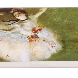 Etui ochelari Degas, Fridolin