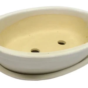 Ghiveci traditional oval bonsai crem (cu farfurie) D25cm