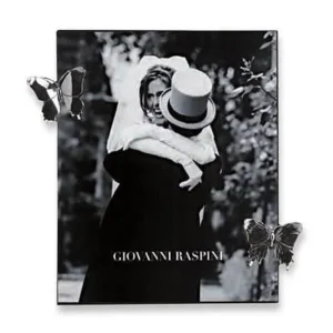 Giovanni Raspini Rama Clip Fluture Mare 16x20cm argint 925 1955