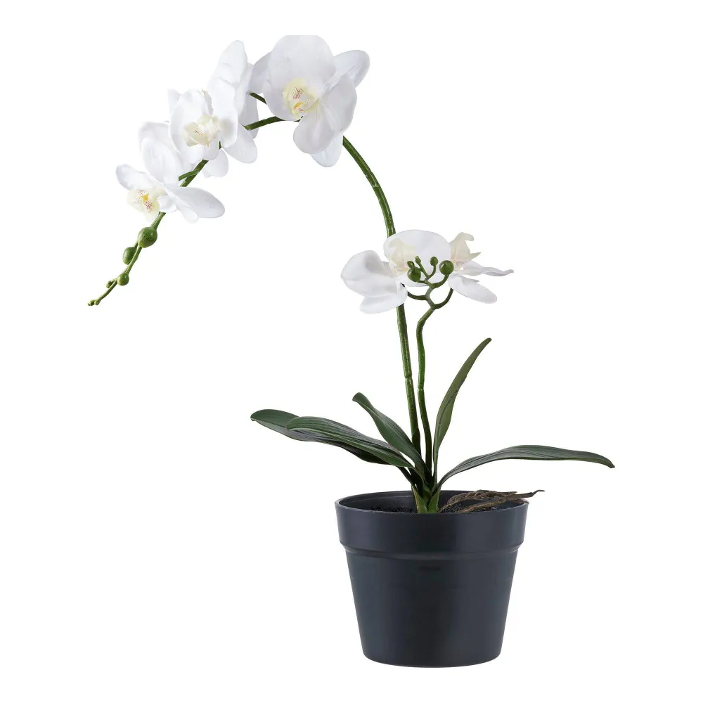 Orhidee- planta artificiala verde/alb I:49 cm