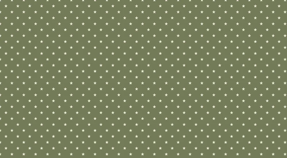 Papel de perete camera bebeluși | Stele albe pe fundal verde măsliniu