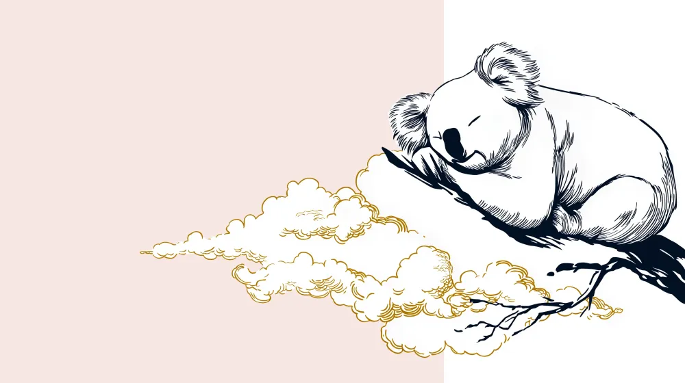 Papel de perete camera bebelușului | Koala adormit pe o ramură cu nori aurii