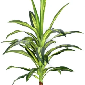Planta artificiala ghiveci, Decorativa, Dracaena, 130 cm
