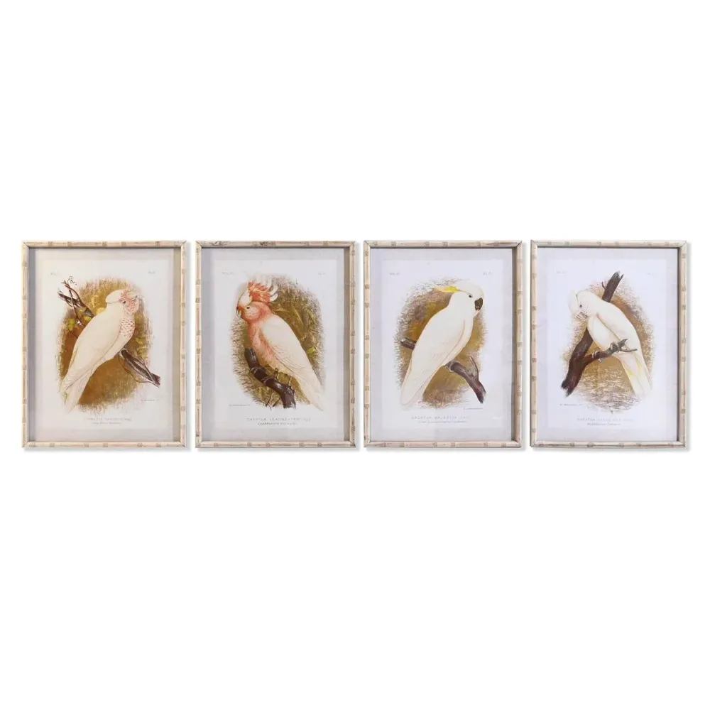Pânză DKD Home Decor 50 x 2,8 x 65 cm 50 x 65 x 2.8 cm Papagal Cottage (4 Piese)