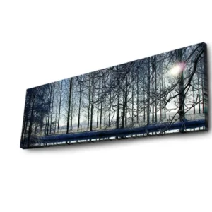Tablou 3090DACT-37, multicolor, panza, cu iluminare LED, 90x30 cm