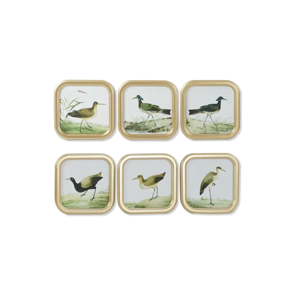 Tablou DKD Home Decor Păsări Cottage 30 x 2 x 30 cm (6 Unități)