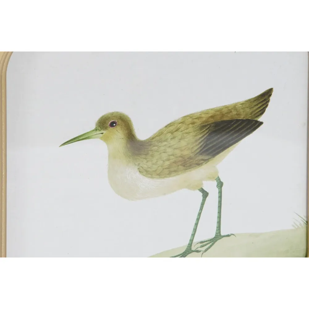 Tablou DKD Home Decor Păsări Cottage 30 x 2 x 30 cm (6 Unități)